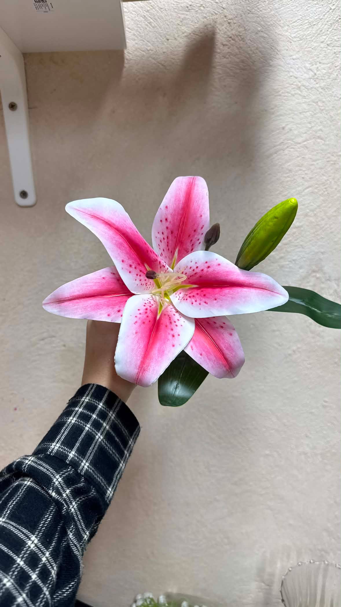 Bold&Bloom