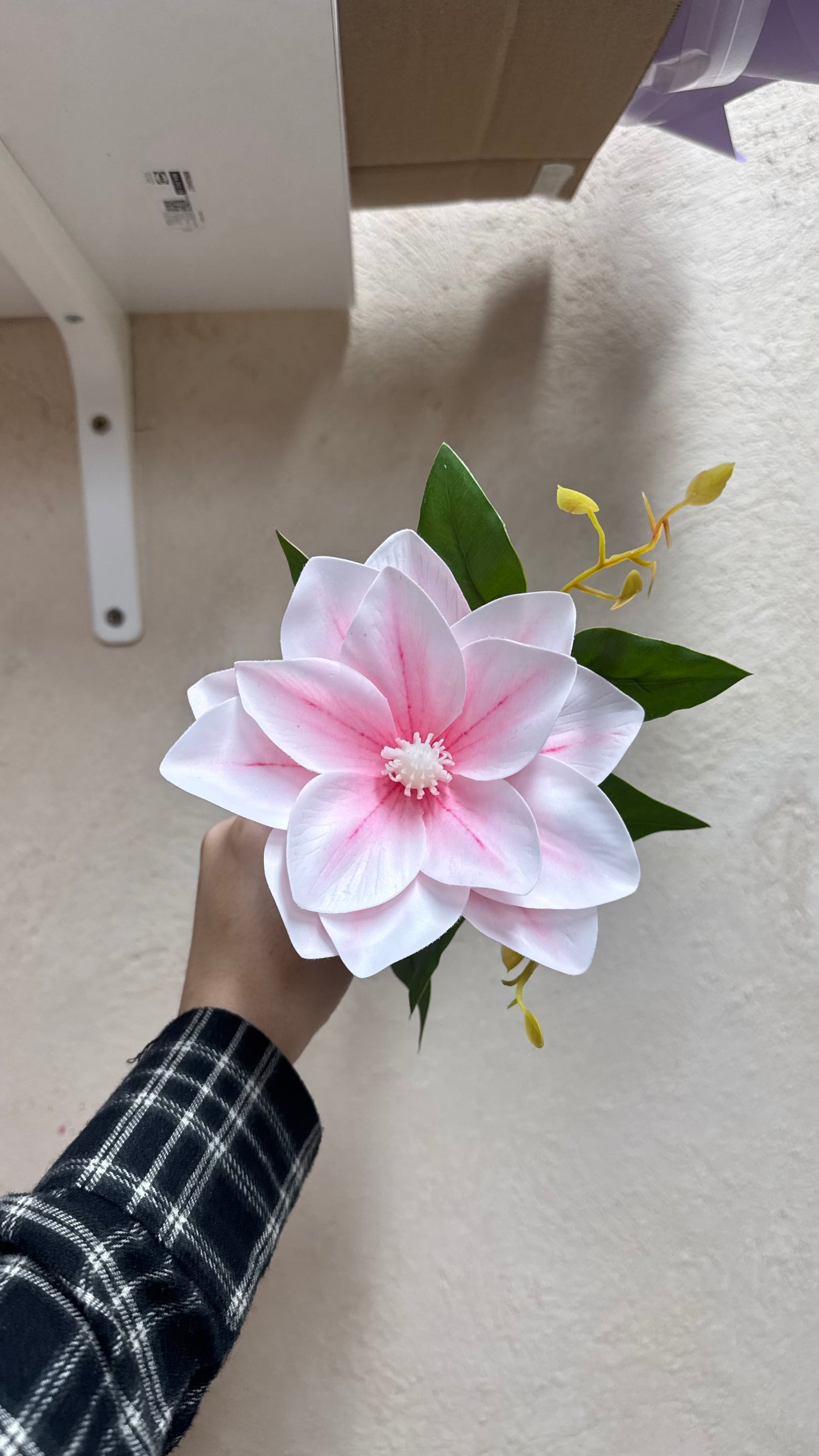 Bold&Bloom